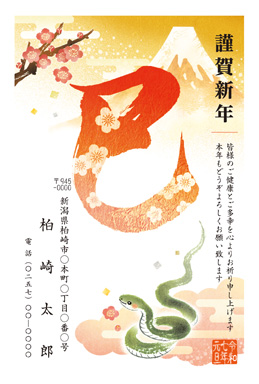 No.5