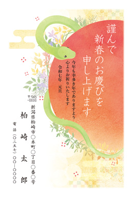No.11